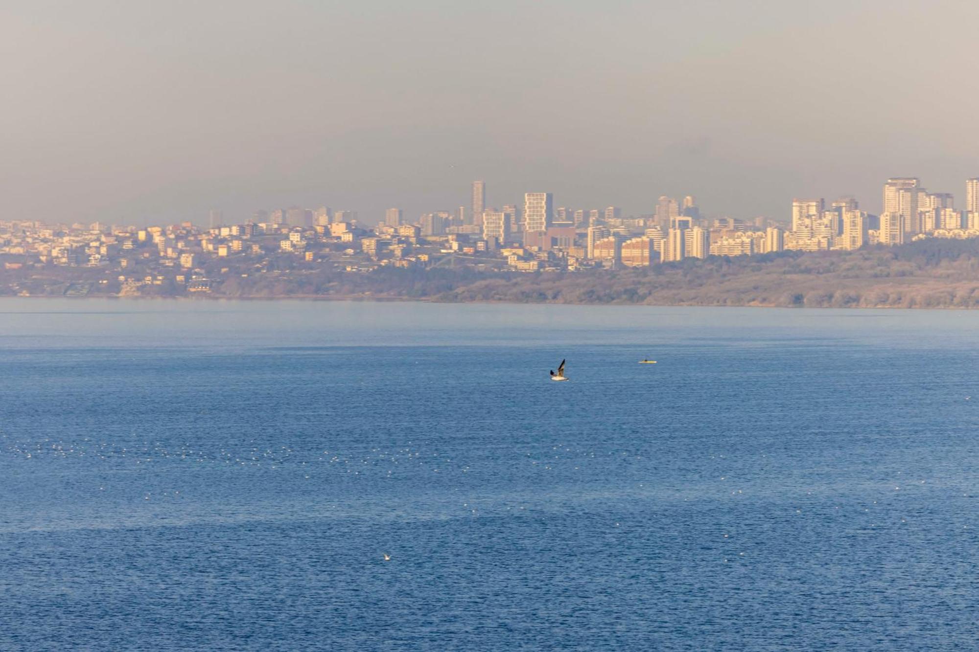 Ezkar Bathonea Art Istanbul Hotel Eksteriør billede